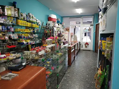 Sklep zoologiczny, strzyżenie psów